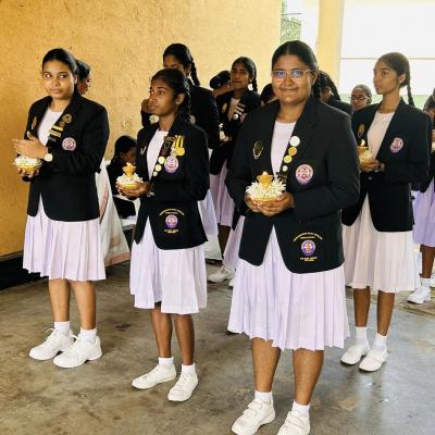 355885841 689803172958513 1246727166285730753 N